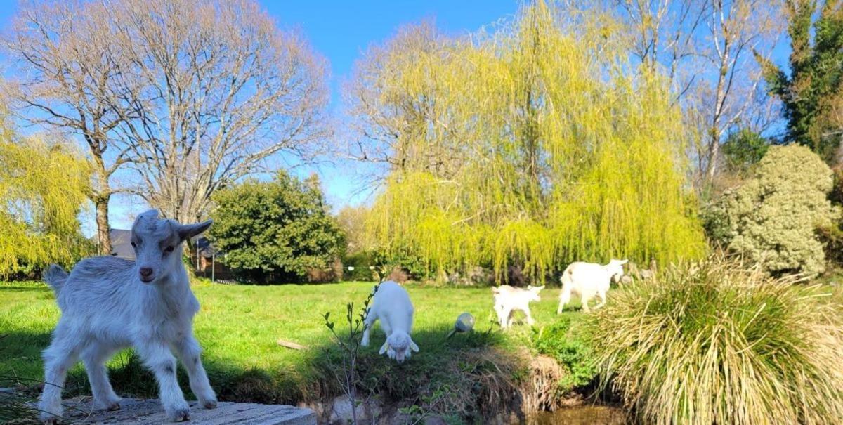 Le Domaine Des Sources Panzió Landévant Kültér fotó