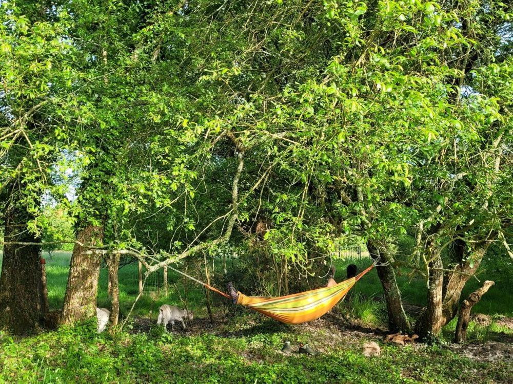 Le Domaine Des Sources Panzió Landévant Kültér fotó