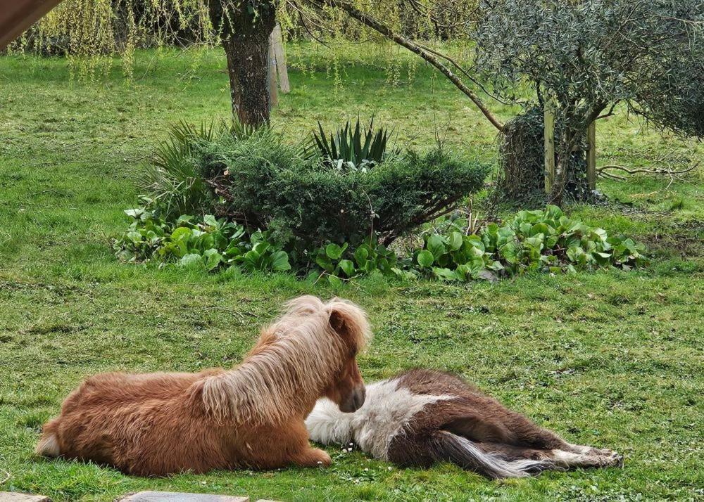 Le Domaine Des Sources Panzió Landévant Kültér fotó